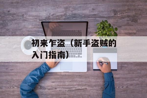 初来乍盗（新手盗贼的入门指南）-第1张图片-居家生活