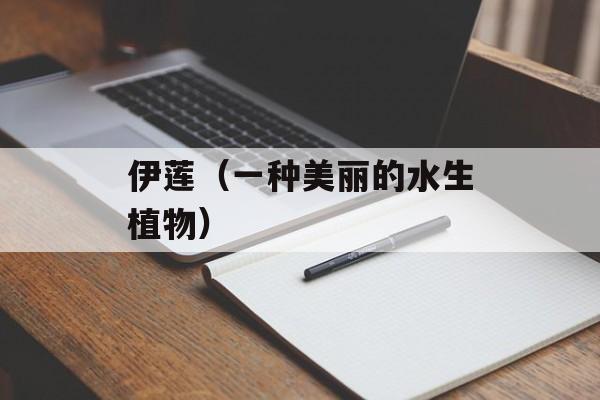 伊莲（一种美丽的水生植物）-第1张图片-居家生活