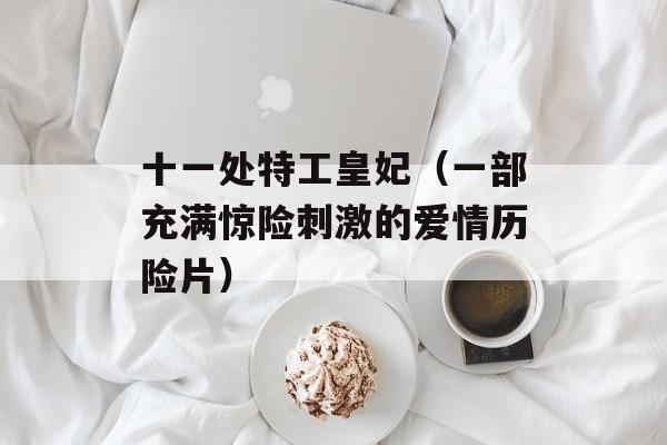 十一处特工皇妃（一部充满惊险刺激的爱情历险片）-第1张图片-居家生活