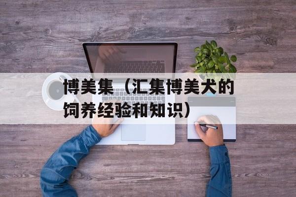博美集（汇集博美犬的饲养经验和知识）-第1张图片-居家生活