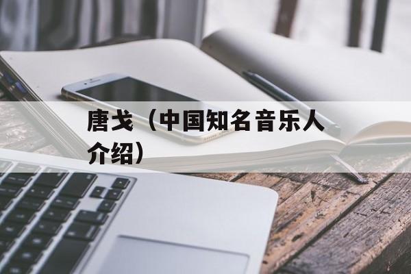 唐戈（中国知名音乐人介绍）-第1张图片-居家生活