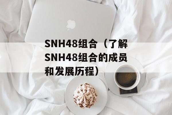 SNH48组合（了解SNH48组合的成员和发展历程）-第1张图片-居家生活