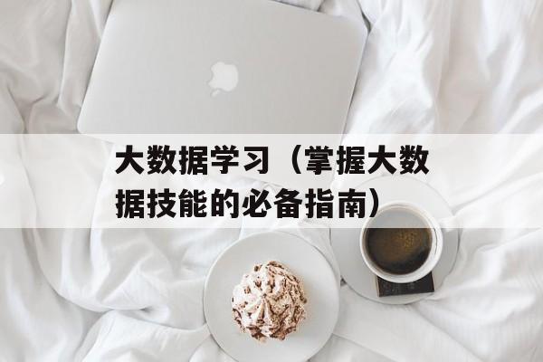 大数据学习（掌握大数据技能的必备指南）-第1张图片-居家生活
