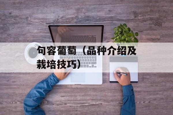 句容葡萄（品种介绍及栽培技巧）-第1张图片-居家生活