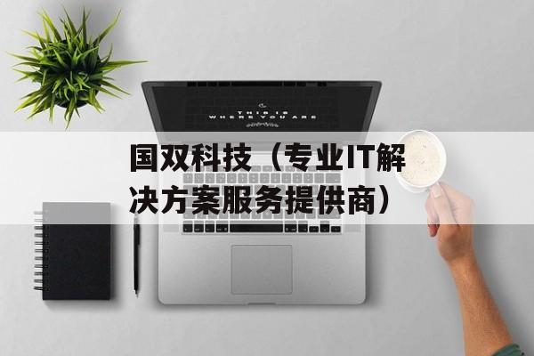 国双科技（专业IT解决方案服务提供商）-第1张图片-居家生活
