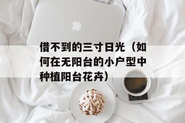 借不到的三寸日光（如何在无阳台的小户型中种植阳台花卉）-第1张图片-居家生活
