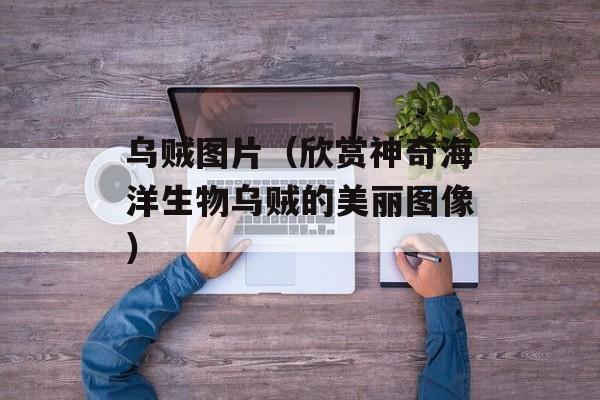 乌贼图片（欣赏神奇海洋生物乌贼的美丽图像）-第1张图片-居家生活