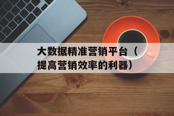 大数据精准营销平台（提高营销效率的利器）-第1张图片-居家生活