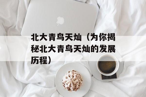 北大青鸟天灿（为你揭秘北大青鸟天灿的发展历程）-第1张图片-居家生活