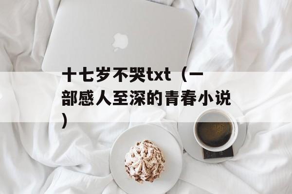 十七岁不哭txt（一部感人至深的青春小说）-第1张图片-居家生活