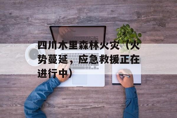 四川木里森林火灾（火势蔓延，应急救援正在进行中）-第1张图片-居家生活