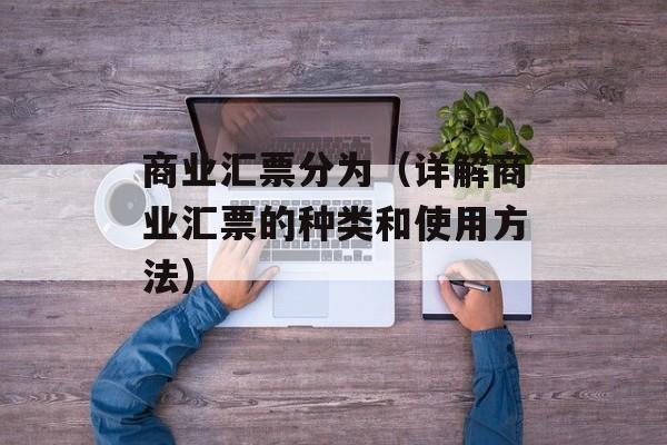 商业汇票分为（详解商业汇票的种类和使用方法）-第1张图片-居家生活