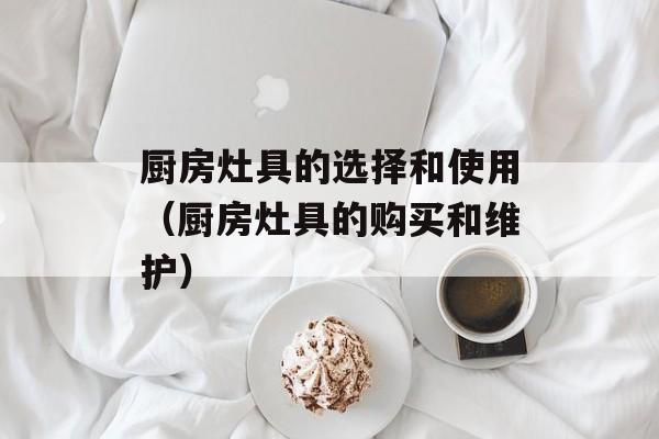 厨房灶具的选择和使用（厨房灶具的购买和维护）-第1张图片-居家生活