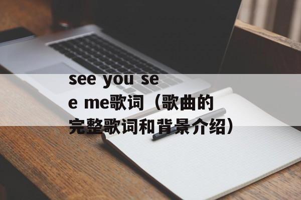 see you see me歌词（歌曲的完整歌词和背景介绍）-第1张图片-居家生活