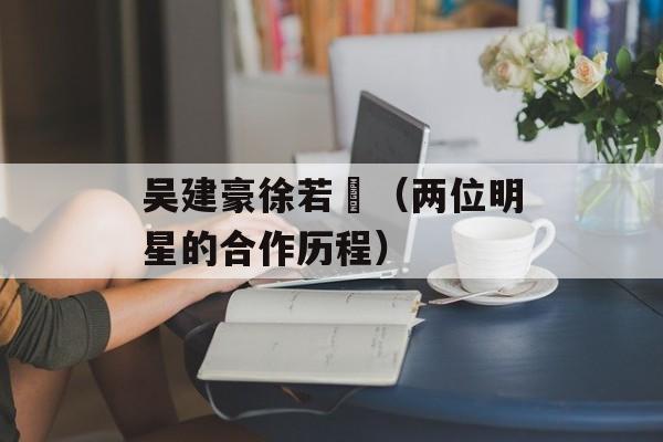 吴建豪徐若瑄（两位明星的合作历程）-第1张图片-居家生活