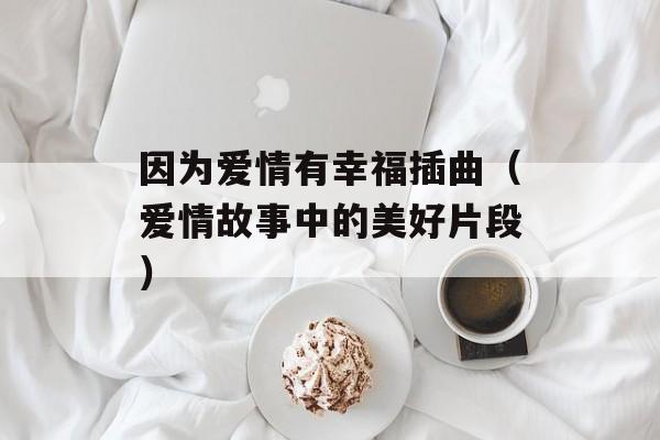 因为爱情有幸福插曲（爱情故事中的美好片段）-第1张图片-居家生活