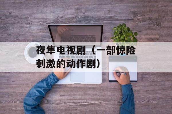 夜隼电视剧（一部惊险刺激的动作剧）-第1张图片-居家生活