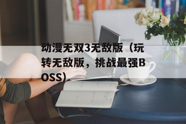 动漫无双3无敌版（玩转无敌版，挑战最强BOSS）-第1张图片-居家生活