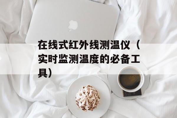在线式红外线测温仪（实时监测温度的必备工具）-第1张图片-居家生活