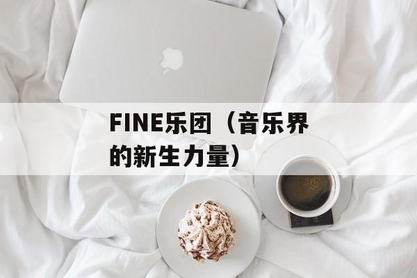 FINE乐团（音乐界的新生力量）-第1张图片-居家生活