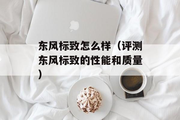 东风标致怎么样（评测东风标致的性能和质量）-第1张图片-居家生活