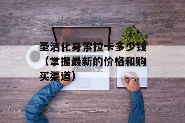 圣洁化身索拉卡多少钱（掌握最新的价格和购买渠道）-第1张图片-居家生活