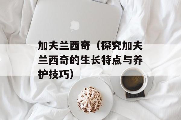 加夫兰西奇（探究加夫兰西奇的生长特点与养护技巧）-第1张图片-居家生活