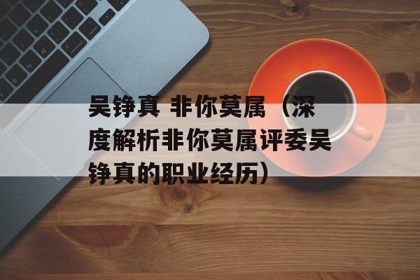 吴铮真 非你莫属（深度解析非你莫属评委吴铮真的职业经历）-第1张图片-居家生活