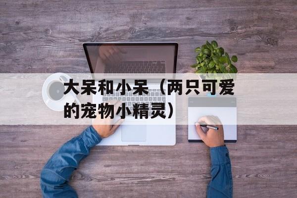 大呆和小呆（两只可爱的宠物小精灵）-第1张图片-居家生活