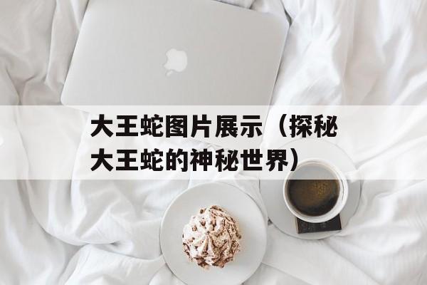 大王蛇图片展示（探秘大王蛇的神秘世界）-第1张图片-居家生活