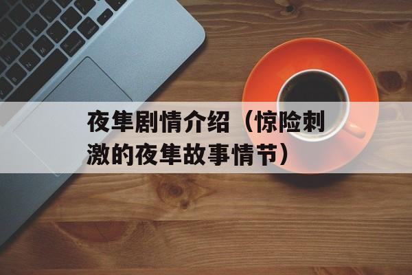 夜隼剧情介绍（惊险刺激的夜隼故事情节）-第1张图片-居家生活