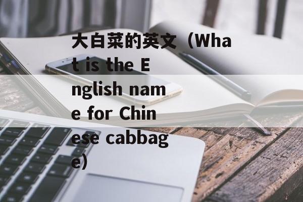 大白菜的英文（What is the English name for Chinese cabbage）-第1张图片-居家生活