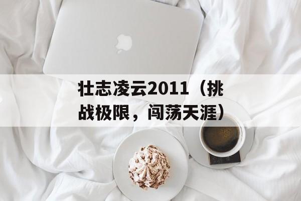 壮志凌云2011（挑战极限，闯荡天涯）-第1张图片-居家生活