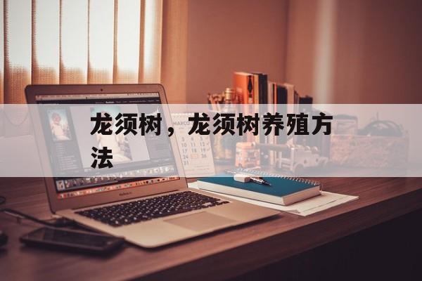 龙须树，龙须树养殖方法-第1张图片-居家生活