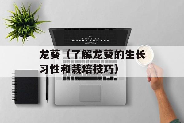 龙葵（了解龙葵的生长习性和栽培技巧）-第1张图片-居家生活