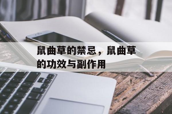 鼠曲草的禁忌，鼠曲草的功效与副作用-第1张图片-居家生活
