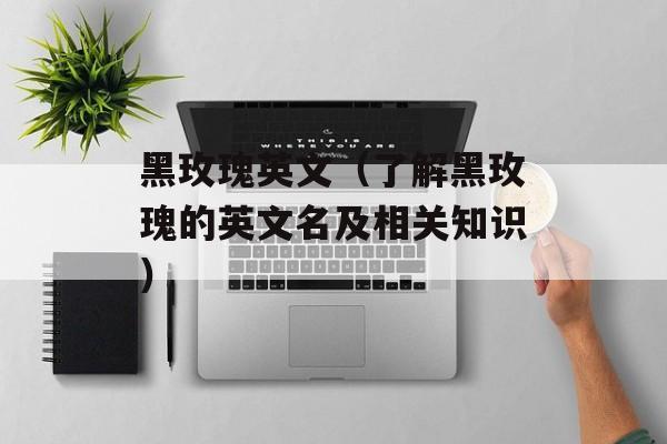 黑玫瑰英文（了解黑玫瑰的英文名及相关知识）-第1张图片-居家生活