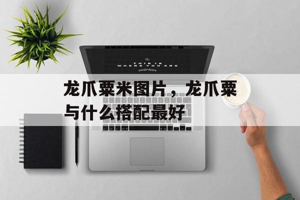 龙爪粟米图片，龙爪粟与什么搭配最好-第1张图片-居家生活