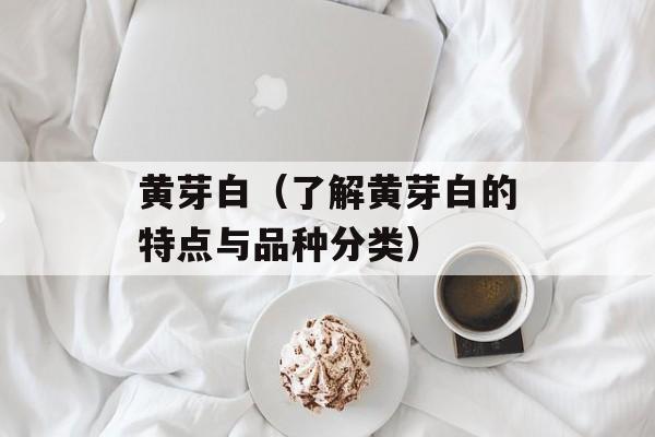 黄芽白（了解黄芽白的特点与品种分类）-第1张图片-居家生活