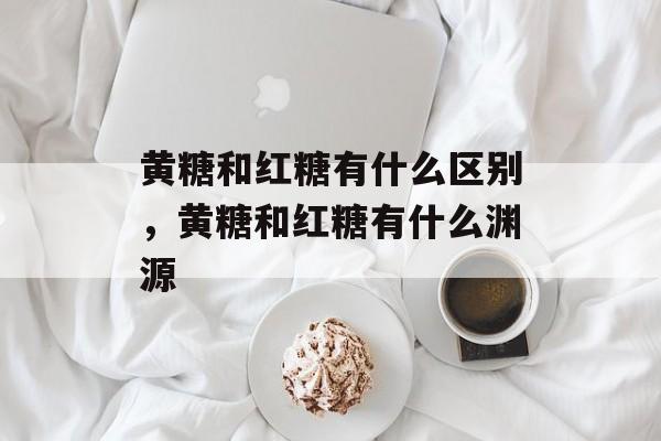 黄糖和红糖有什么区别，黄糖和红糖有什么渊源-第1张图片-居家生活