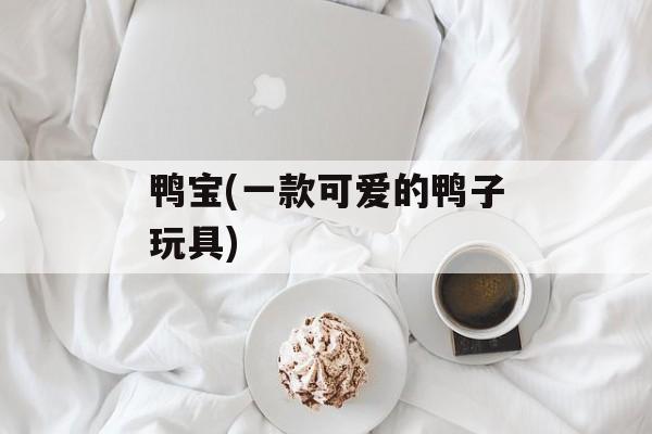 鸭宝(一款可爱的鸭子玩具)-第1张图片-居家生活