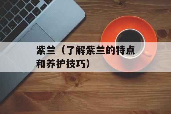 紫兰（了解紫兰的特点和养护技巧）-第1张图片-居家生活