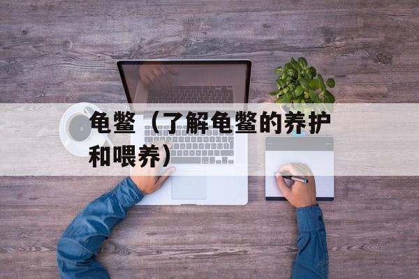 龟鳖（了解龟鳖的养护和喂养）-第1张图片-居家生活