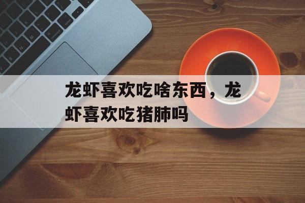 龙虾喜欢吃啥东西，龙虾喜欢吃猪肺吗-第1张图片-居家生活