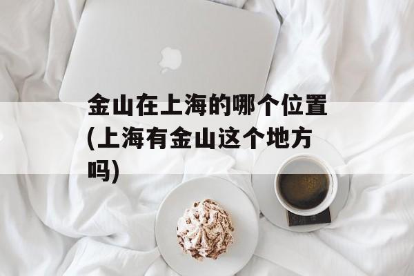 金山在上海的哪个位置(上海有金山这个地方吗)-第1张图片-居家生活