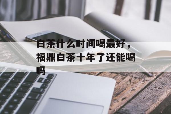 白茶什么时间喝最好，福鼎白茶十年了还能喝吗-第1张图片-居家生活