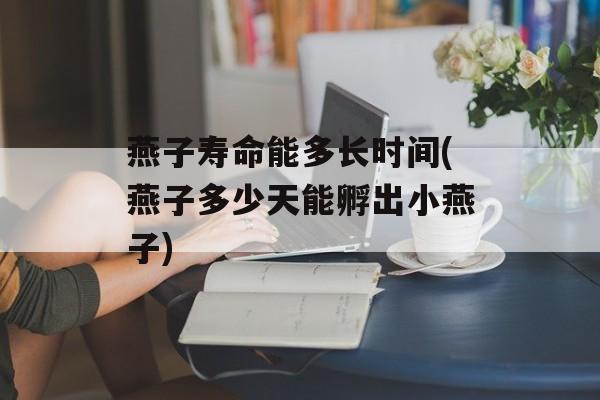 燕子寿命能多长时间(燕子多少天能孵出小燕子)-第1张图片-居家生活
