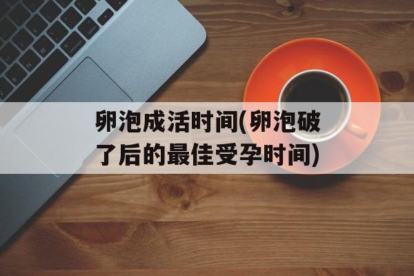 卵泡成活时间(卵泡破了后的最佳受孕时间)-第1张图片-居家生活