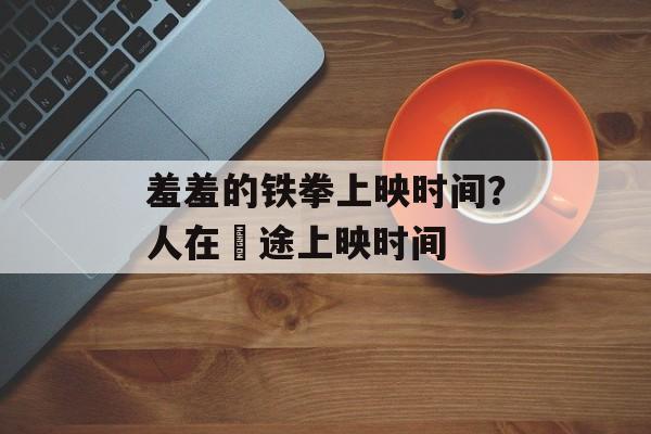 羞羞的铁拳上映时间？人在囧途上映时间-第1张图片-居家生活