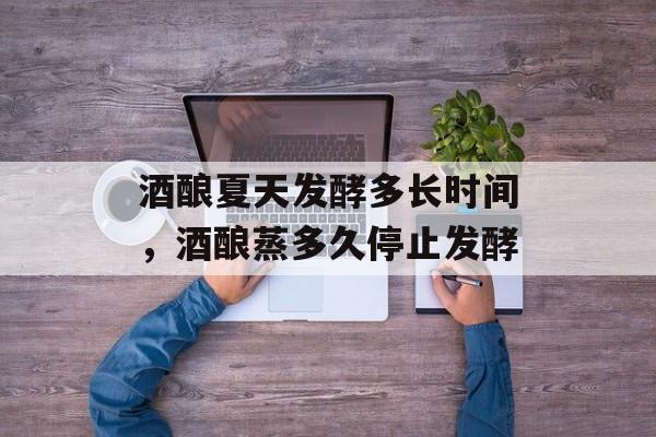 酒酿夏天发酵多长时间，酒酿蒸多久停止发酵-第1张图片-居家生活